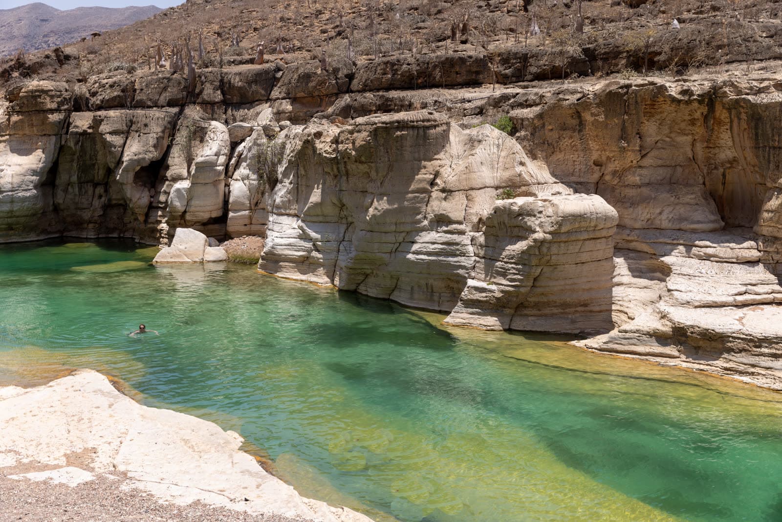 Swimming the lagoons of Detwah